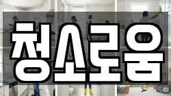 청소로움