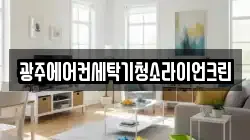 광주에어컨세탁기청소라이언크린