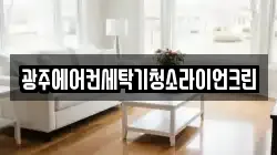 광주에어컨세탁기청소라이언크린