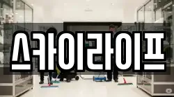 스카이라이프