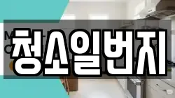 청소일번지