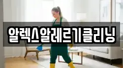 알렉스알레르기클리닝