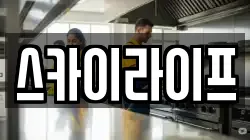 스카이라이프