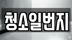 청소일번지