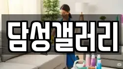담성갤러리