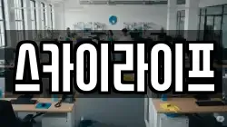 스카이라이프