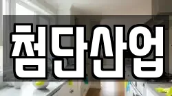 첨단산업