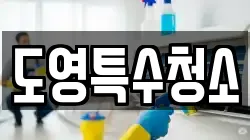 도영특수청소
