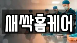 새싹홈케어