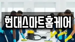 현대스마트홈케어
