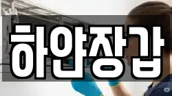 하얀장갑