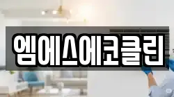 광주 광산구 송산동 청소,입주청소,사무실청소,에어컨청소,특수청소,상가청소,거주청소,유품정리
