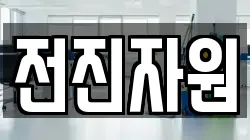 전진자원