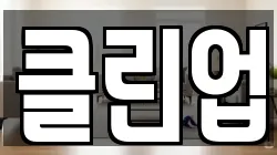 클린업