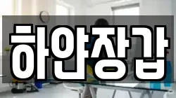 하얀장갑