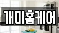 개미홈케어