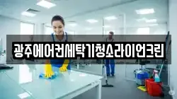광주에어컨세탁기청소라이언크린
