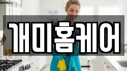 개미홈케어