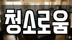청소로움