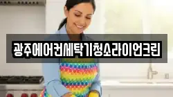 광주에어컨세탁기청소라이언크린