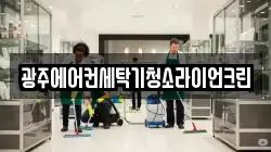 광주에어컨세탁기청소라이언크린