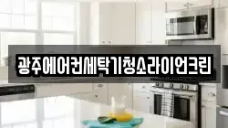 광주에어컨세탁기청소라이언크린