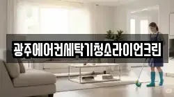 광주에어컨세탁기청소라이언크린
