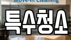 특수청소