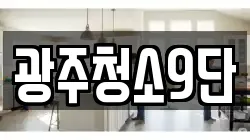 광주청소9단