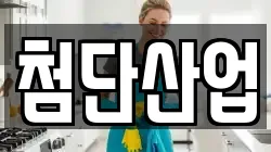 첨단산업