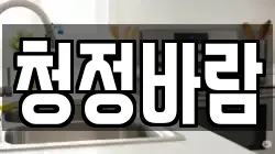 청정바람