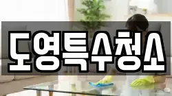 도영특수청소