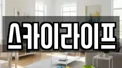 스카이라이프