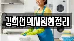 김희선의시원한정리