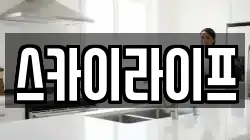 스카이라이프