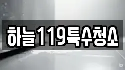 하늘119특수청소