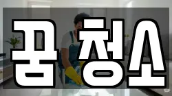 꿈 청소