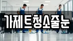 가제트청소줄눈