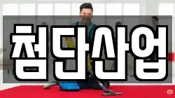첨단산업