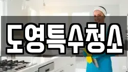 도영특수청소