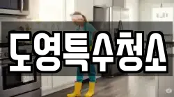 도영특수청소