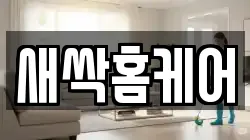 새싹홈케어