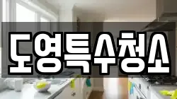 도영특수청소