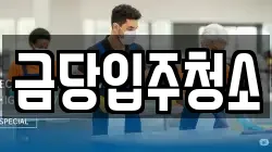 금당입주청소