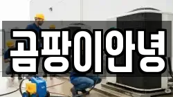 대구광역시 군위군 군위읍 청소,입주청소,사무실청소,에어컨청소,특수청소,상가청소,거주청소,유품정리