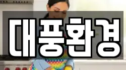 대풍환경