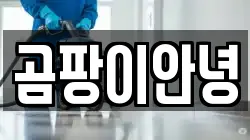 곰팡이안녕