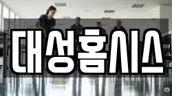 대성홈시스