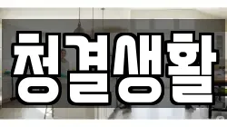 청결생활
