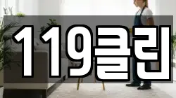 119클린